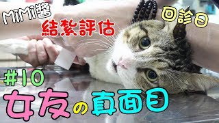 『女友真面目』MiMi醬的結紮評估！這次蛋蛋保的住嗎？Cat Story#10