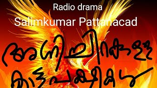 അഗ്നി ചിറകുള്ള കാട്ടുപക്ഷികള്‍ .radio drama part -4