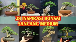 28 INSPIRASI || BONSAI SANCANG JUARA 2023