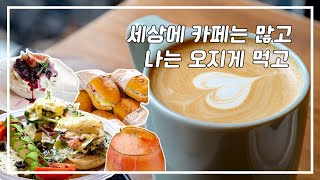 vlog11 | 성남 카페 추천할만한 곳? ☕️성남카페어디까지 가봤니?🥤