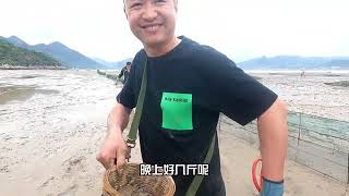 扬州老哥第四次来找小明赶海盘坑捕鱼，滩涂寻宝老哥玩得意犹未尽