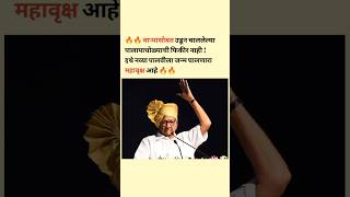 🔥संघर्ष योध्दा 🔥 |  शरद पवारसाहेब  | #sharadpawar