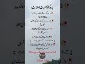 five beautiful hadith islami hadith muhammad islamic status viral hadith madina hadith