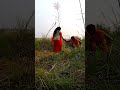 सुनो जी चलो अंदर gayatrijijaunpriya shortvideo shortsfeed