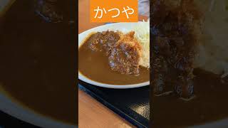 かつやの「ひれかつカレー」美味しかった　Katsuya's \