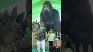 Papa papa piche toh gorilla hai #funny #comedy #shortvideo #gorilla