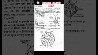 Sycon-canal system Hindi notes/#shorts/#viral/#shortvideo/#shortsfeed/#bsc/#bscclasses/#bsczoology