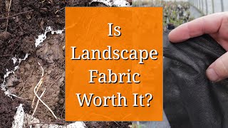 Is Landscape Fabric Worth It?