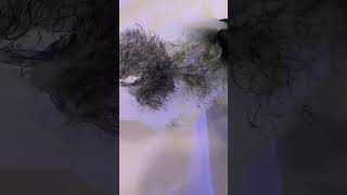 Brazilian wax patch #skincare #wax #beauty #esthetician #brazilian #hairremoval #waxing #asmr