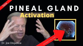 Dr Joe Dispenza (2020) - Pineal Gland Activation