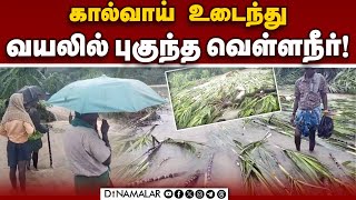 பாபநாசத்தில் நெல், கரும்பு பயிர் சேதமானதால் விவசாயிகள் வேதனை Nellai Flood | Nellai Rain | Papanasam