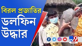 Sundarbans | Dolphin | সুন্দরবনের কুলতলি থেকে উদ্ধার বিরল প্রজাতির ডলফিন