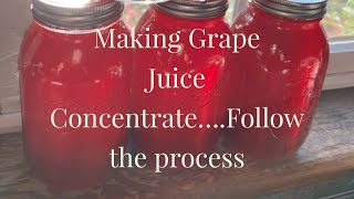 Canning Grape Juice Concentrate...Follow the Process from Grapes to Canning Jar