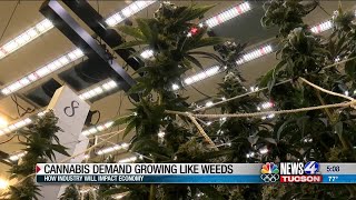 Cannabis Demand Growing Like Weeds