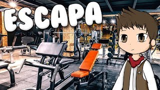 Luis Fonsi Stefflon Don Calypso Parodia Patito Roblox - 