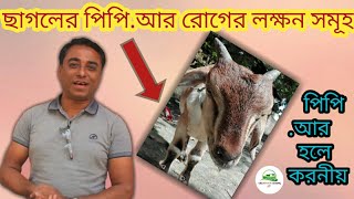 ছাগলের পিপিআর রোগের লক্ষন সমূহ | ছাগলের পি পি আর রোগ | ছাগলের পি পি আর রোগ হলে করণীয় | Goats Farm