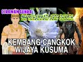 Ki Balap Kembang Cangkok Wijaya Kusuma