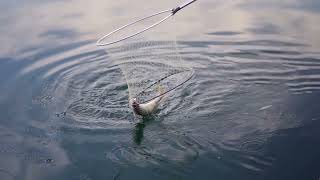 Fishing Nets ।।  Part-2 ।।  Amazon Products  ।।