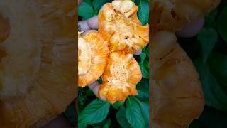 Bangladeshi fruit | Asian fruit | Dewa Fruit #shorts #bangladesh #fruit #viral #video