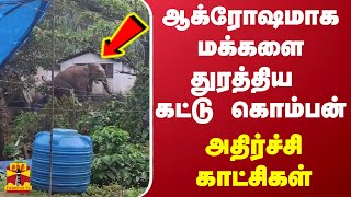 ஆக்ரோஷமாக மக்களை துரத்திய கட்டு கொம்பன் - அதிர்ச்சி காட்சிகள்