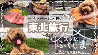 【犬と旅行】温泉街を満喫してルンルンな愛犬と有給中の夫婦♨️