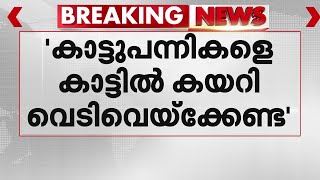 കാട്ടുപന്നികളെ കാട്ടിൽ കയറി വെടിവെയ്‌ക്കേണ്ട; നിർദേശവുമായി ഹൈക്കോടതി | Kerala High Court