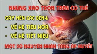 Buổi 11: Những xáo trộn hệ tiêu hoá và hệ tiết niệu, nguyên nhân tăng áp huyết.