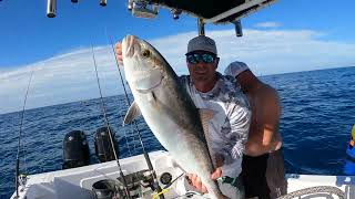 Catching and losing some Greater Amberjacks [AKA Reef Donkeys]