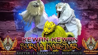 🔥BABAK KEWAN-KEWAN SURYA KAWEDAR SEMAWE SUKORINI MUNTILAN ||KRETEK 1 KARANGREJO BOROBUDUR