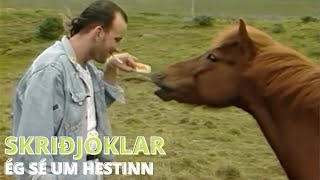 Skriðjöklar - Ég sé um hestinn - Upprunalega Tónlistarmyndbandið