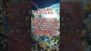 每日經文(智慧與引導篇) | 神告訴我們更新不在外表 | 羅馬書12:2 #聖經 #經文 #基督教 #基督耶穌 #鼓勵