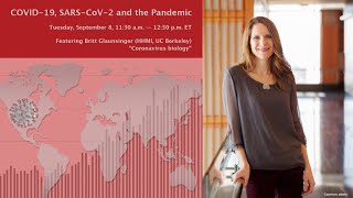 Britt Glaunsinger: "Coronavirus biology" (9/8/2020)