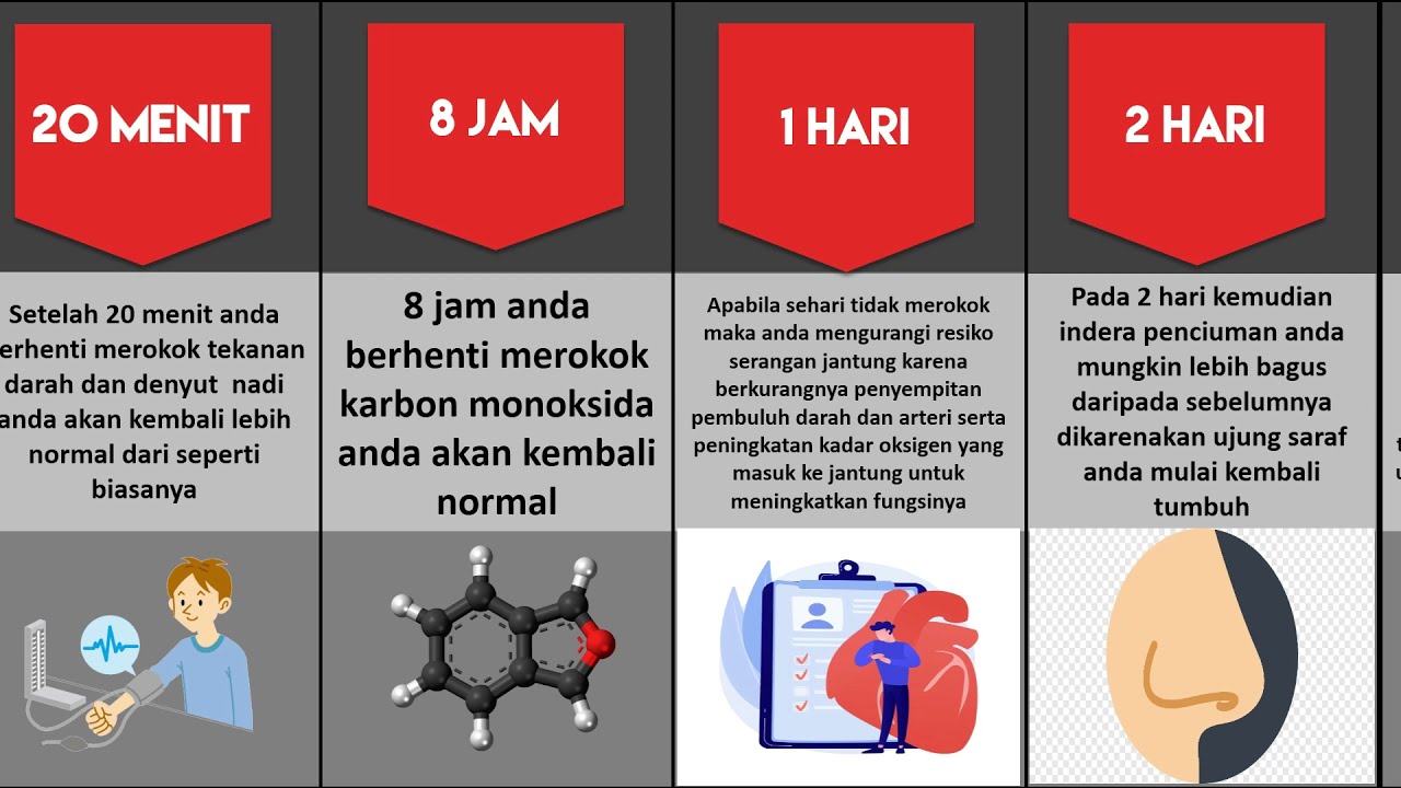 Timeline: Apa Yang Terjadi Jika Kita Berhenti Merokok - YouTube