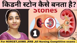 Renal Calculi in hindi |Msn|For all nursing compititive exams |Lecture -1|