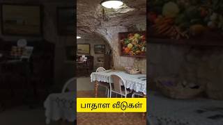 Underground city (Eng subtitle)/பாதாள வீடுகள்#shorts