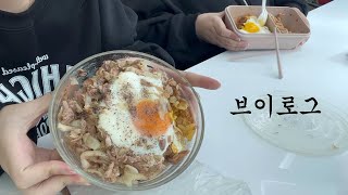 📔 2주치 밀린 다이어리 벼락치기 vlog ⚡️ | 양배추참치계란덮밥, 프로틴 쉐이크 먹방 🥙🫗