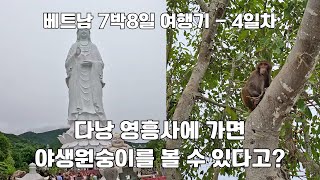 다낭 영흥사 베트남에서 가장 높이가 큰 불상이있는곳... 그리고 야생 원숭이를 볼수있다~~