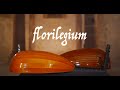 FLORILEGIUM: A Miscellany of Late Renaissance Lute Music | MICHAŁ GONDKO, Renaissance lutes