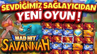 YENİ SLOT OYUNU 🧲 Mad Hit Savannah 🧲 SEVDİĞİMİZ SAĞLAYICIDAN YENİ OYUN !