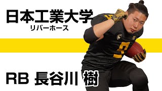 【アメフトやろうぜ】RB長谷川樹（日本工業大学リバーホース）