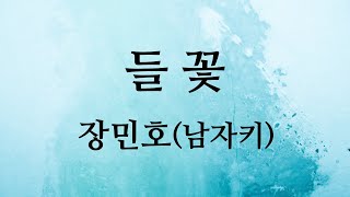 들꽃 (사랑의콜센타-리메이크) - 장민호 (남자키Am)