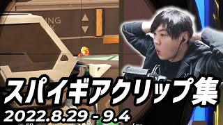 【SPYGEAクリップ集】VCC競輪VCT観戦【2022/08-29-09/04】