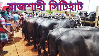 মহীষের দরদাম। রাজশাহী সিটিহাট। ১৭/০৭/২০২২ রবিবার। #cityhat