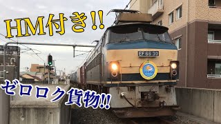 【4K ヘッドマーク付きゼロロク!!】EF66 30号機 HM付き 貨物 通過@俊徳道駅