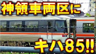 【なぜ!?】神領車両区にキハ85がやってきた!!