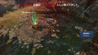 【リネレボ】でいぶれvsXは消えたさん【要塞大戦】