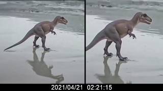 60 Believed to Be Extinct Animals and Creatures Caught ALIVE on Camera!