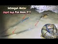 HOW TO CATCH POLL SHRIMP WHEN THE FISH TRAP IS FULL OF WATER||SIAK RIVER FISHERMAN #fishtrap