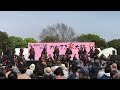 かわさき楽大師よさこい20190420 東京学生“生っ粋” 37 c