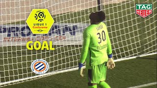 Goal Gaëtan LABORDE (51') / Montpellier Hérault SC - SM Caen (2-0) (MHSC-SMC) / 2018-19